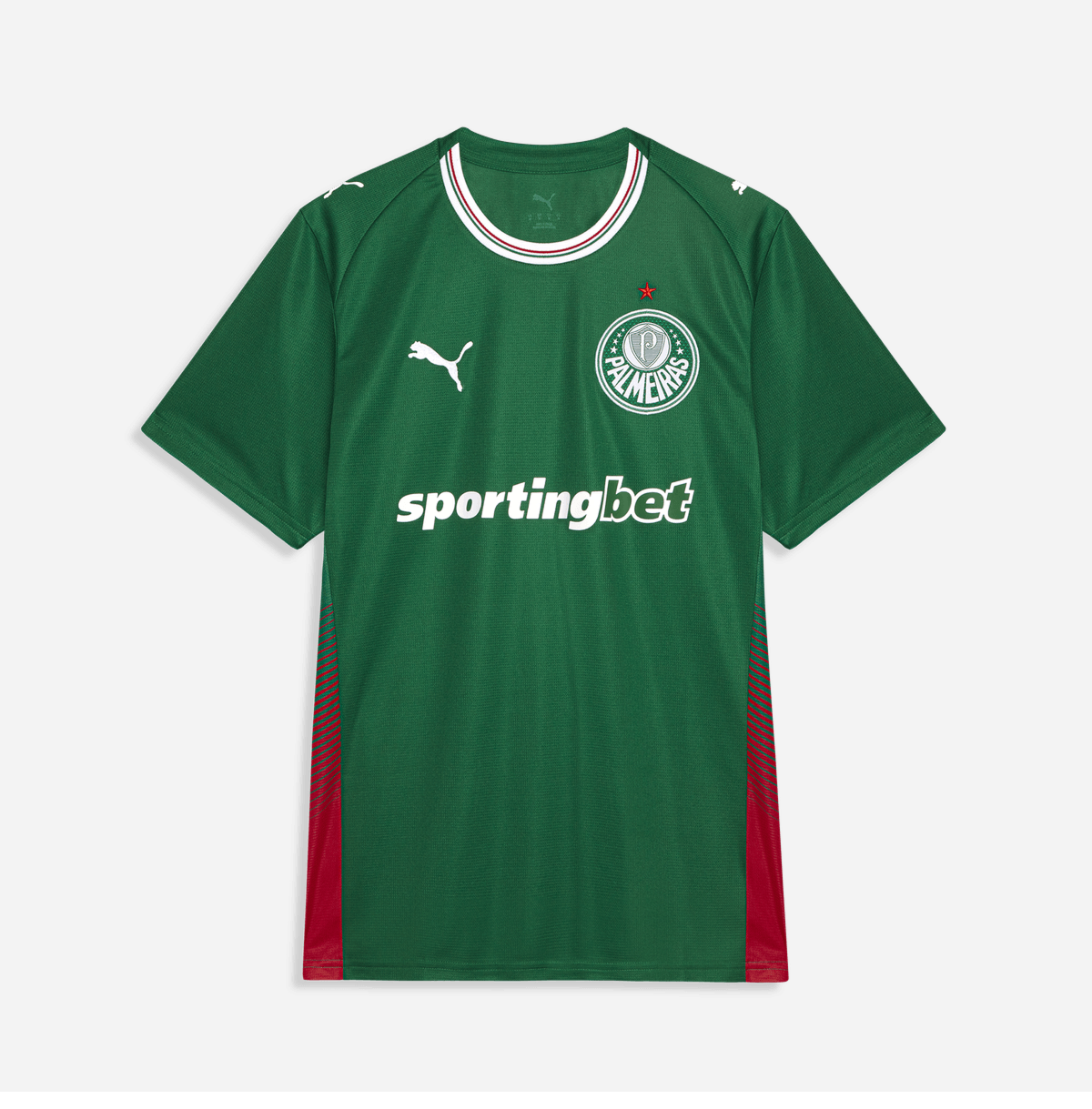 PRE-ORDER Palmeiras Puma 2026/27 Home Fan Jersey