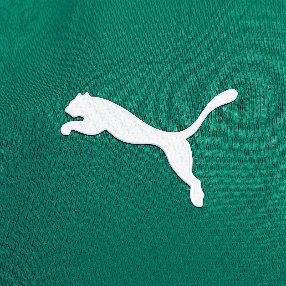 Palmeiras 25/26 I Home Jersey - Player Version All Sponsors