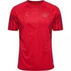Denmark 22/23 I Home Jersey - Fan Version